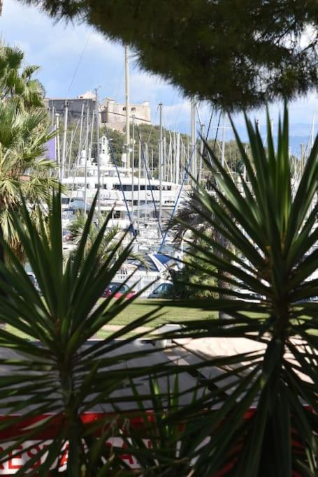 Apartamento Au Port - Brand New Flat W 1 Bedroom, Balcony, Parking, Ac Antibes